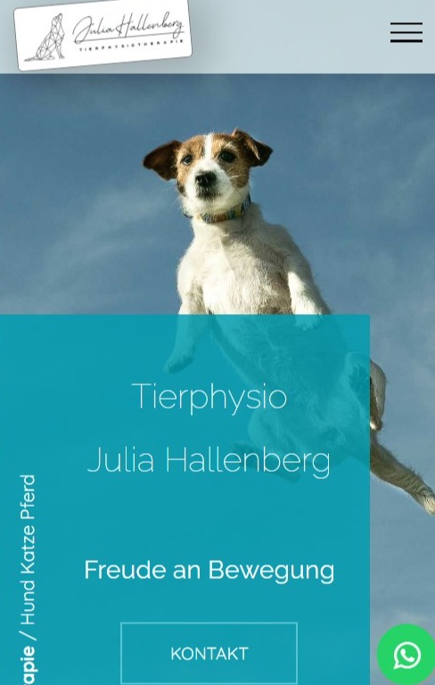 Webdesign: Physiotherapie Hund Morsbach