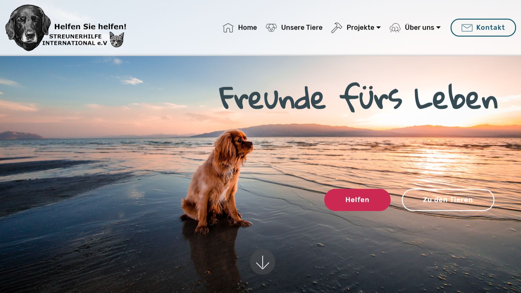 Webdesign Beispiel - Tierheim