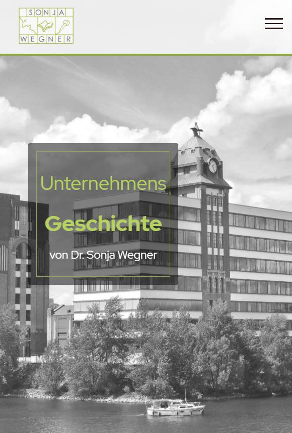 Webdesign - Unternehmensgeschichte